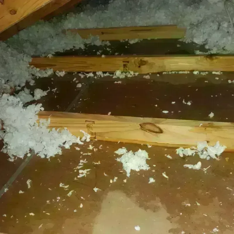 Attic Water Damage in Rush County, IN