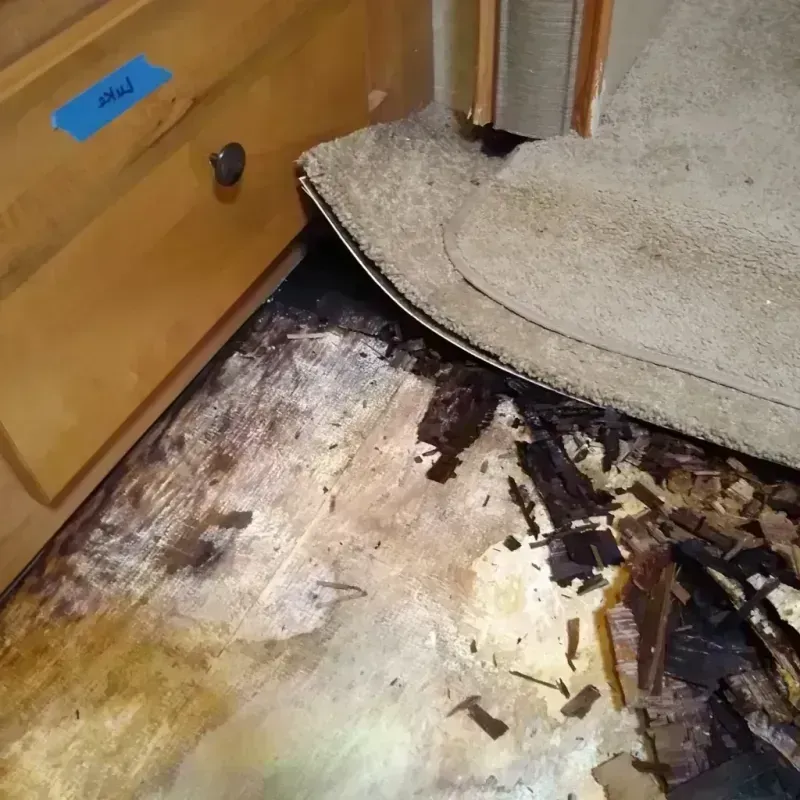 Wood Floor Water Damage in Rush County, IN